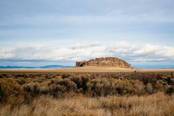 WSSA Media Release re: Harney County, Oregon