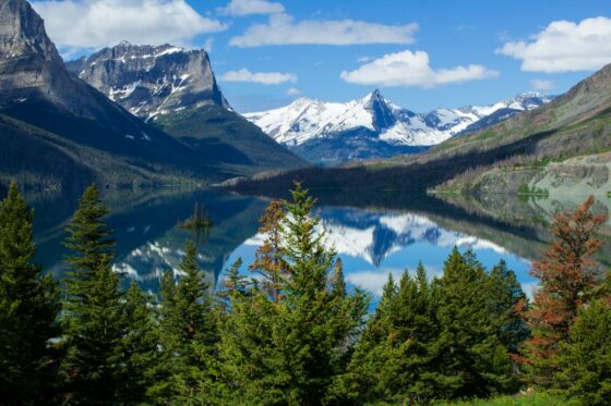 Position Paper: Public Lands